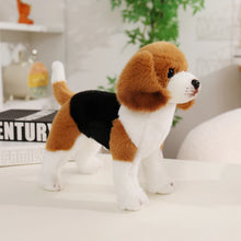 Load image into Gallery viewer, Cute Beagle Plush - Darling Floppy-Eared Pup-26