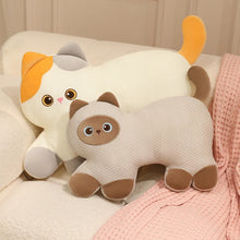 Load image into Gallery viewer, Cute Calico Cat Pillow and Plush Toy - Dreamy Wide-Eyed Cutie-3