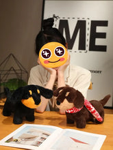 Load image into Gallery viewer, Cute Chocolate Dachshund Stuffed Animal Plush Toy-Stuffed Animals-Dachshund,Dog Memorial Gifts,Stuffed Animal-9