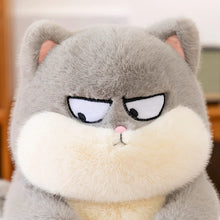 Load image into Gallery viewer, Cute Grumpy Cat Stuffed Animal Plush Toys - Orange, Grey and Black-7