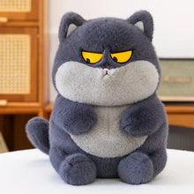 Load image into Gallery viewer, Cute Grumpy Cat Stuffed Animal Plush Toys - Orange, Grey and Black-Dark grey-25cm-11
