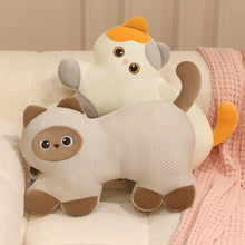 Load image into Gallery viewer, Cute Siamese Cat Pillow and Plush Toy - Dreamy Wide-Eyed Cutie-15