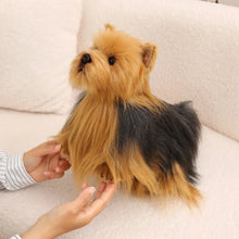 Load image into Gallery viewer, Cute Yorkshire Terrier Plush - Darling Flowing Mane-12