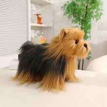 Load image into Gallery viewer, Cute Yorkshire Terrier Plush - Darling Flowing Mane-28