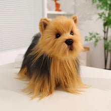Load image into Gallery viewer, Cute Yorkshire Terrier Plush - Darling Flowing Mane-29