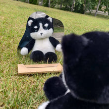 Load image into Gallery viewer, Cutest Black and White Husky Stuffed Animal Plush Toy-4