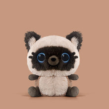 Load image into Gallery viewer, Cutest Blue Eyed Siamese Cat Plush Toy Teddy Bear - Small Size-Cats-Stuffed Animal-2