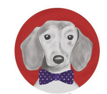 Load image into Gallery viewer, Image of a well-dressed Dachshund rug in a blue and white polka-dotted bow-tie on a circular red background