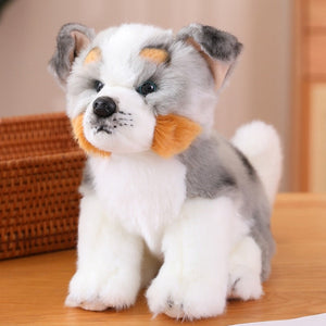Cutest Button Nose Dogs Stuffed Animal Plush Toys-Stuffed Animals-Home Decor, Stuffed Animal-12