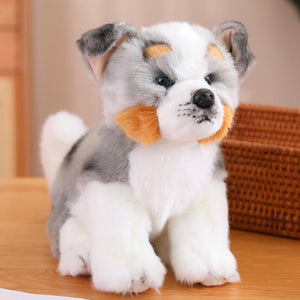 Cutest Button Nose Dogs Stuffed Animal Plush Toys-Stuffed Animals-Home Decor, Stuffed Animal-Australian Shepherd-2