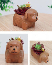 Load image into Gallery viewer, Image of an adorable sleeping Chocolate Lab planter