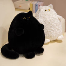 Load image into Gallery viewer, Black and white plush cat toys on a light surface with books in the background