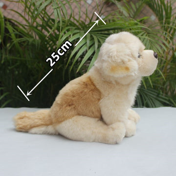 Cutest Labrador Love Stuffed Animal Plush Toys-Stuffed Animals-Home Decor, Labrador, Stuffed Animal-Sitting-China-2
