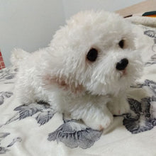 Load image into Gallery viewer, Cutest Lifelike Stretching Maltese Stuffed Animal Plush Toy-Stuffed Animals-Home Decor, Maltese, Stuffed Animal-9