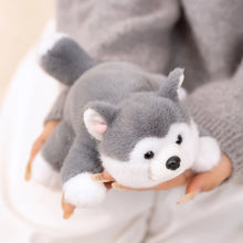 Load image into Gallery viewer, Cutest Little Husky Stuffed Animal Plush Toy-7