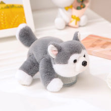Load image into Gallery viewer, Cutest Little Husky Stuffed Animal Plush Toy-Stuffed Animals-Dog Memorial Gifts,Siberian Husky,Stuffed Animal-3