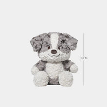 Load image into Gallery viewer, Cutest Merle Border Collie Stuffed Animal Plush Toy ?-Border Collie,Stuffed Animal-7