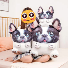 Load image into Gallery viewer, Cutest Pied French Bulldog Stuffed Animal Plush Toy and Cushion Pillow (Small to Large Size)-Stuffed Animals-French Bulldog, Home Decor, Stuffed Animal-10