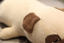 Load image into Gallery viewer, Image of an ear of the Pug stuffed animal soft toy