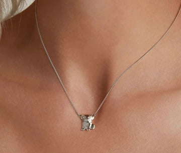 Cutest Pug Love Silver Necklace-6