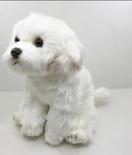 Load image into Gallery viewer, Cutest Sitting Bichon Frise Stuffed Animal Plush Toy