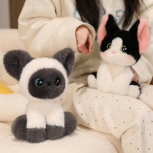 Load image into Gallery viewer, Cutest Sitting Calico Cat Plush Toy Teddy Bears-11