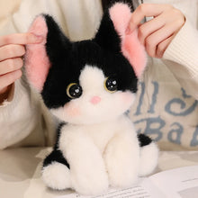 Load image into Gallery viewer, Cutest Sitting Calico Cat Plush Toy Teddy Bears-2
