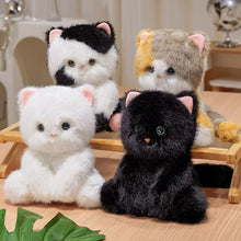Load image into Gallery viewer, Cutest Sitting White Cat Teddy Bear Plush Toy-Stuffed Animals-Cat Memorial Gifts,Cats,Stuffed Animal,White Cat-5