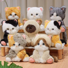 Load image into Gallery viewer, Cutest Sitting Black and White Harlequin Cow Cat Teddy Bear Plush Toy-Stuffed Animals-Black and White Cat,Cat Memorial Gifts,Cats,Stuffed Animal-6