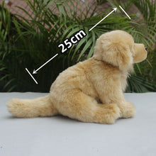 Load image into Gallery viewer, Cutest Sitting Golden Retriever Love Stuffed Animal Plush Toy-Stuffed Animals-Golden Retriever, Home Decor, Stuffed Animal-2