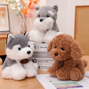 image of a collection of stuffed animal plush toys