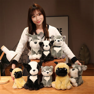 Cutest Sitting Husky Stuffed Animal Plush Toys-Soft Toy-Dogs, Home Decor, Siberian Husky, Soft Toy, Stuffed Animal-5