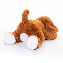 Load image into Gallery viewer, Cutest Sitting Saint Bernard Stuffed Animal Plush Toys-3