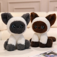Load image into Gallery viewer, Cutest Sitting Siamese Cat Plush Toy Teddy Bears-Cats-Cat Memorial Gifts,Siamese Cat,Stuffed Animal-3
