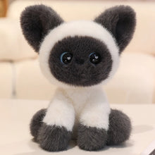 Load image into Gallery viewer, Cutest Sitting Siamese Cat Plush Toy Teddy Bears-Siamese Grey-24cm-6