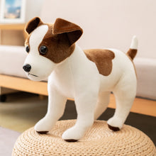 Load image into Gallery viewer, image of an adorable jack russell terrier stuffed animal plush toy