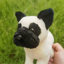 Load image into Gallery viewer, Cutest Standing Pug Love Stuffed Animal Plush Toy-Stuffed Animals-Home Decor, Pug, Stuffed Animal-13