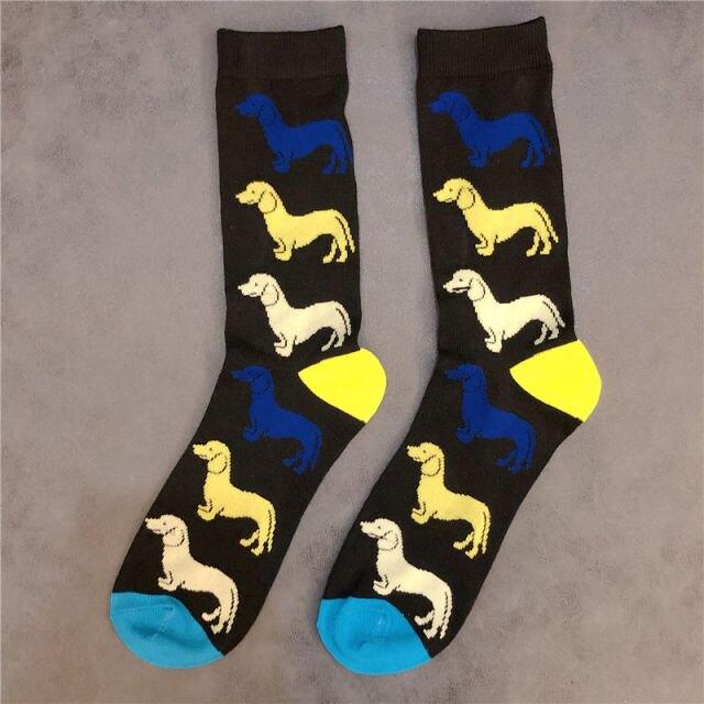 Image of a pair of mid calf Dachshund socks