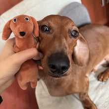 Load image into Gallery viewer, Dachshund Plush Keychain - Darling Dangly Pup - 6 Coat Colors-7