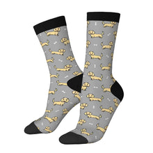 Load image into Gallery viewer, Dachshund Socks - Cutest Long Haired Cream Dachshund-Wear Accessories-Gray-3 Black-One Size-1