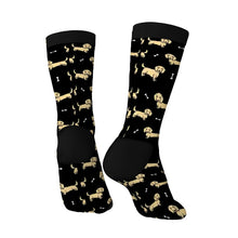 Load image into Gallery viewer, Dachshund Socks - Cutest Long Haired Cream Dachshund-Accessories-Accessories,Dachshund,Dog Dad Gifts,Socks-6