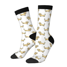 Load image into Gallery viewer, Dachshund Socks - Cutest Long Haired Cream Dachshund-Wear Accessories-White-3 Black-One Size-21