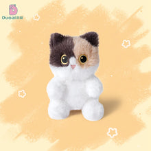 Load image into Gallery viewer, Deep Grey Cat Plush Toy Teddy Bear - Tiny Size-Cats-Stuffed Animal-3