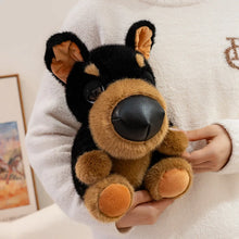 Load image into Gallery viewer, Doberman Plush Toy - Cutest Sitting Button Nose Doberman-3
