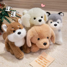 Load image into Gallery viewer, Four plush dog toys in different colors sitting on a carpeted floor with a gift box in the background.