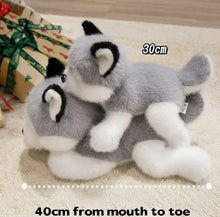 Load image into Gallery viewer, Plush toy husky with measurements on a carpeted floor
