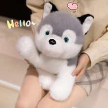 Load image into Gallery viewer, Plush toy husky held by a person with 'Hello' text above