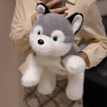 Load image into Gallery viewer, Person holding a plush toy husky in an indoor setting