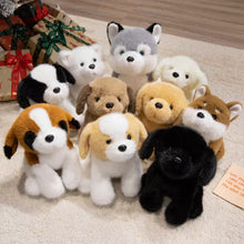 Load image into Gallery viewer, Collection of plush dog toys in various colors on a carpeted floor.
