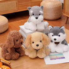 Load image into Gallery viewer, Cutest Sitting Schnauzer Stuffed Animal Plush Toy-Soft Toy-Dog Memorial Gifts,Schnauzer,Stuffed Animal-6